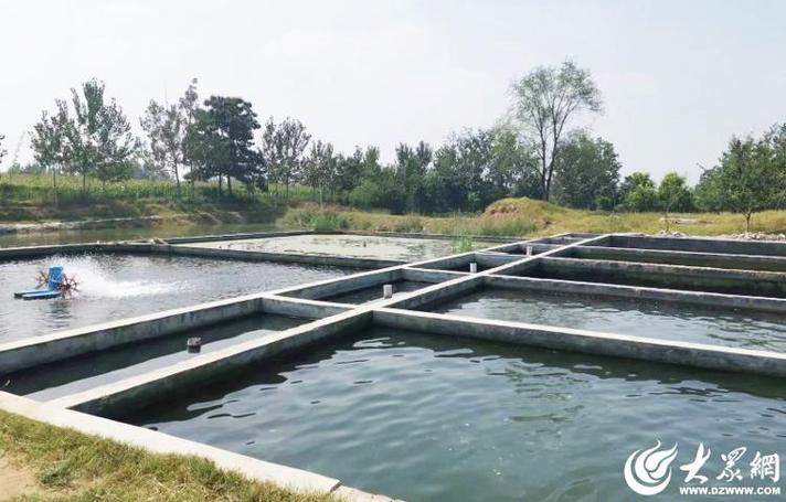 菏泽:水产绿色健康养殖"五大行动"助推渔业养殖转型升级
